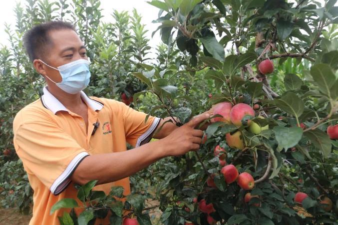 200亩果蔬滞销！葡萄、茄子、豆角量大价低‘求带走’，我们该如何破局？